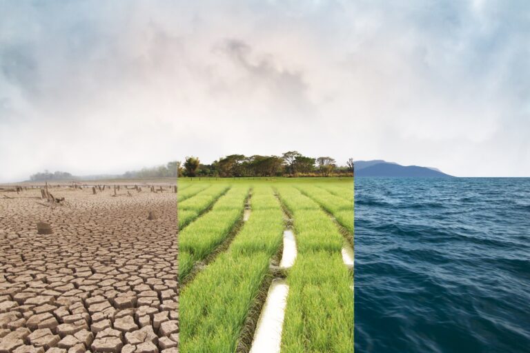 Climate change, compare image with Drought, Green field and Ocean metaphor Nature disaster, World climate and Environment, Ecology system. Getty Images