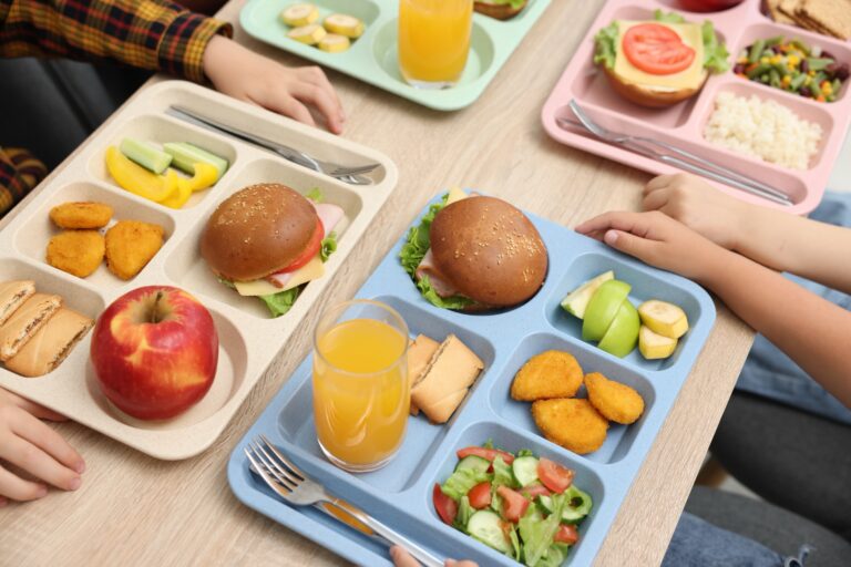school lunches for kids on colorful trays. chicken nuggets, sandwich with bun, juice, apple, cut vegetables