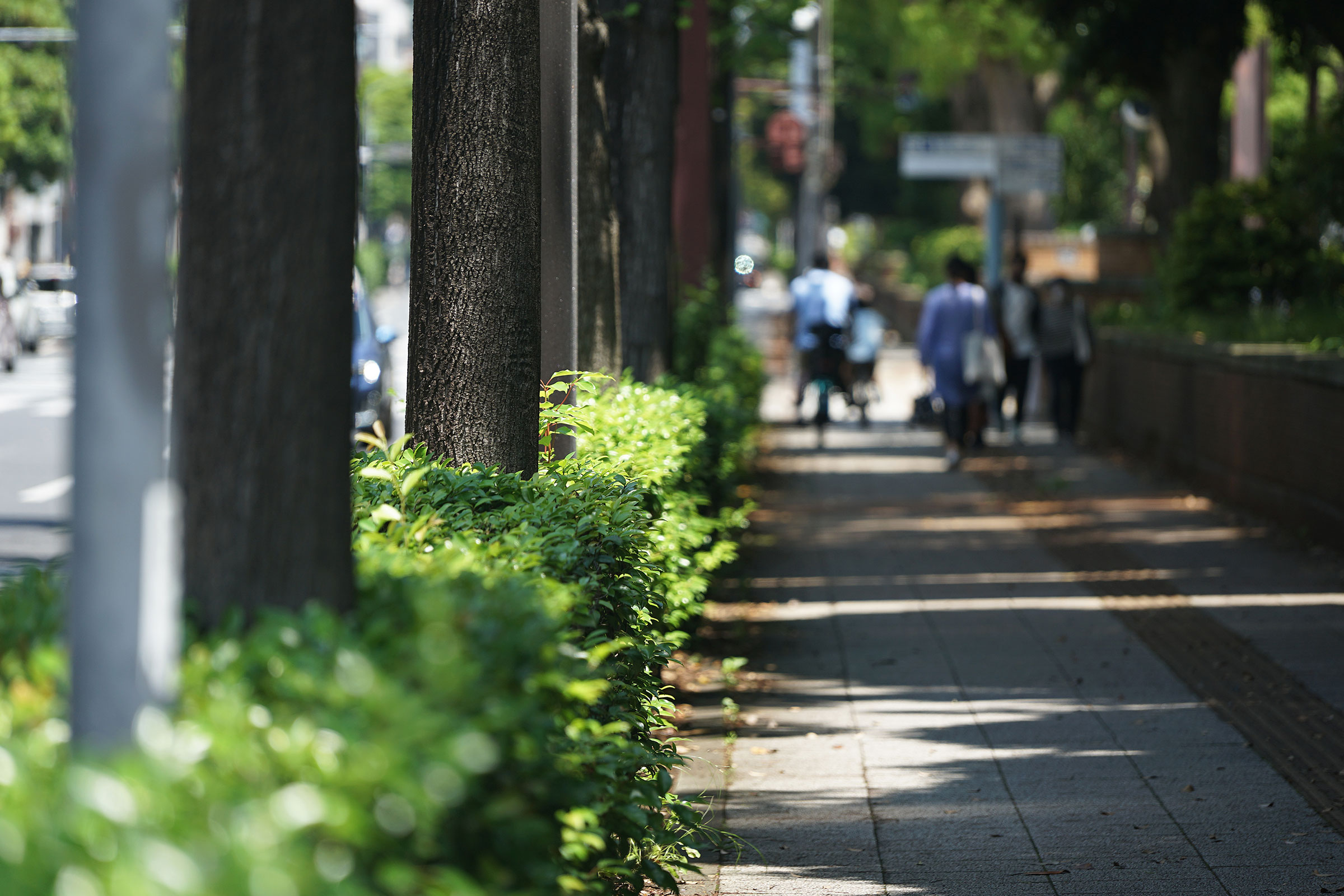 Shaded sidewalk